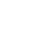 VOYAGES ET SORTIES